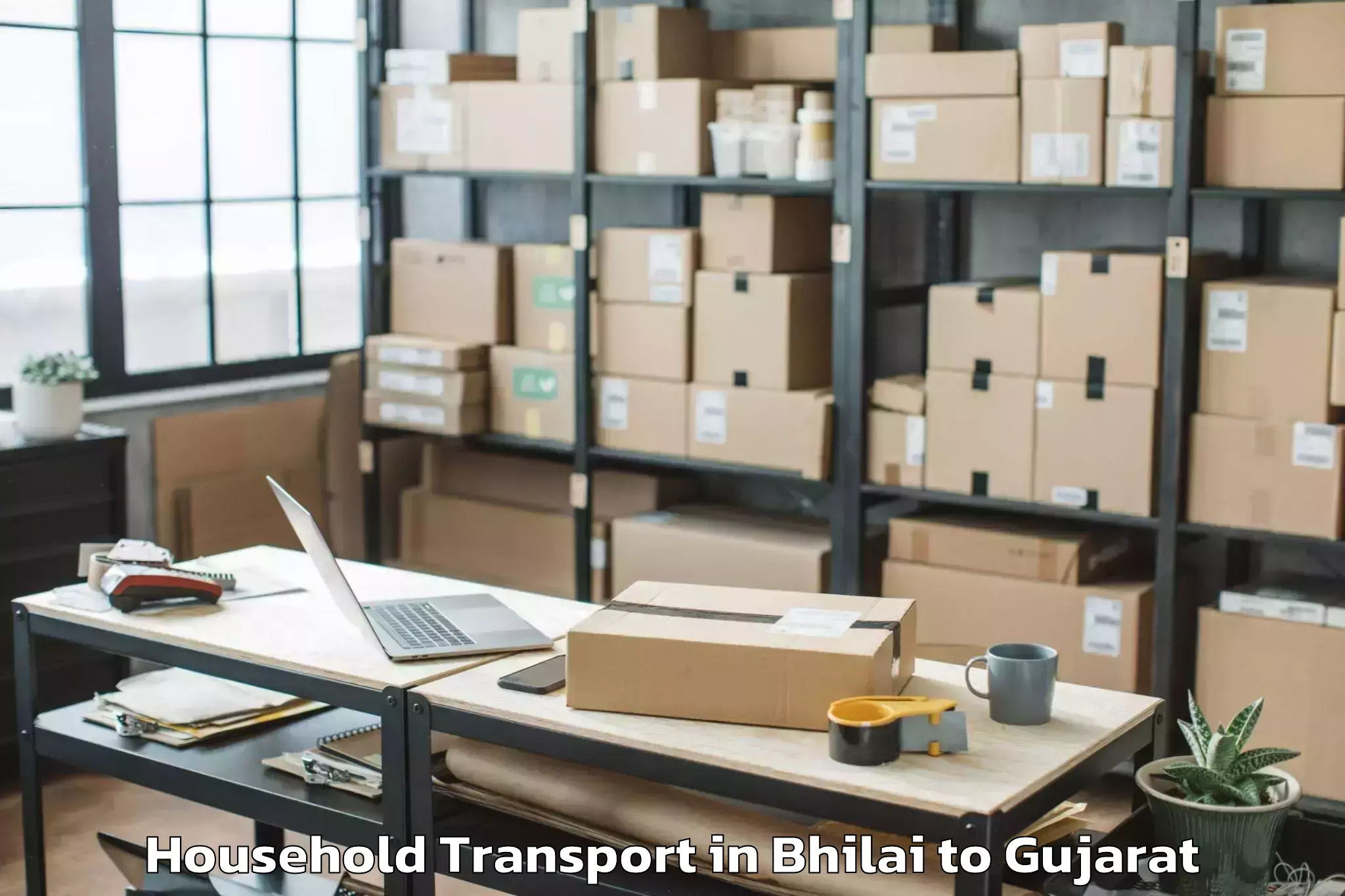 Book Bhilai to Pardi Household Transport